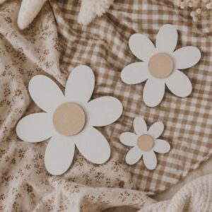 Lot 3 marguerites